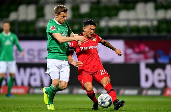 教练团队和 教练团队和