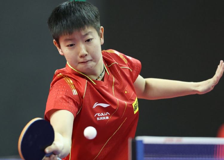 這一評論也 這一評論也