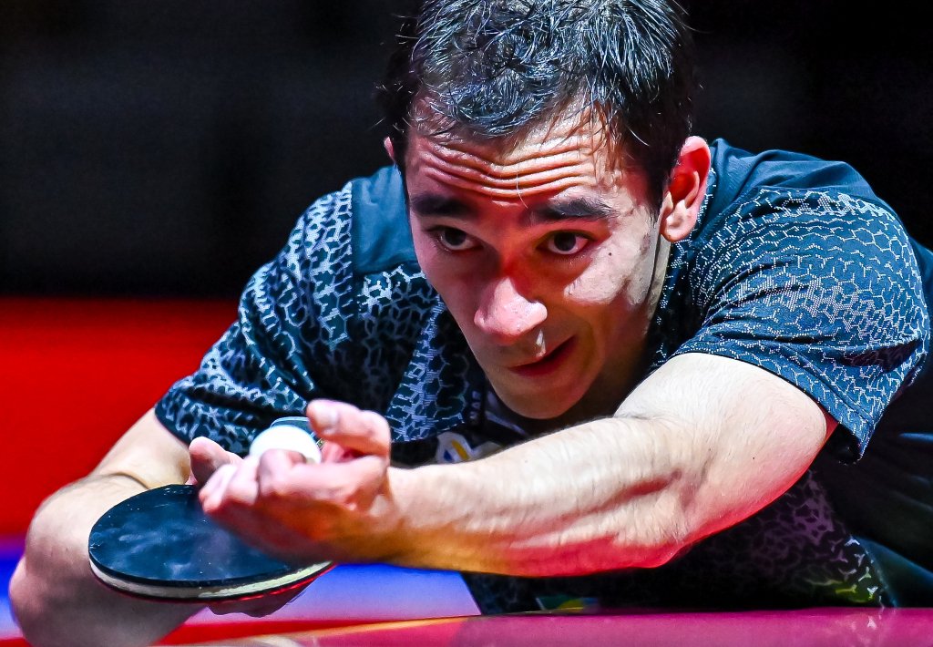 同样成熟 同样成熟